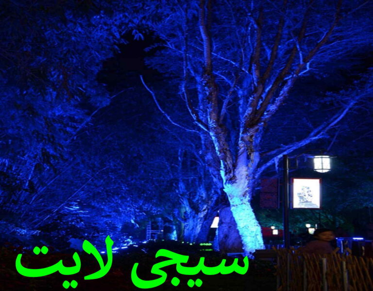 عکس و تصویر نورپزدازی درخت و فضای سبز