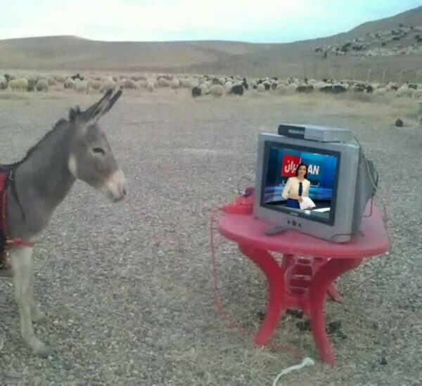 تصویری از بینندگان دائمی شبکه اینتر نشنال که منتظر اعلام تحویل سال هستند